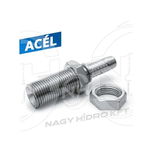DN12 1/2" BSP COLOS, VÁLASZFAL/SZERELŐFAL KÜLSÖ MENETES HIDRAULIKA TÖMLŐ CSATLAKOZÓ - AGRV-1212