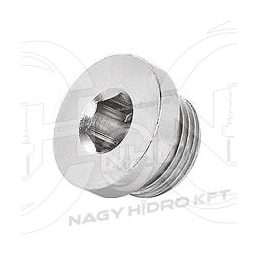1/8" BSP COLOS PNEUMATIKUS ZÁRÓDUGÓ IMBUSZKULCS NYÍLÁSSAL (RÉZ KIVITEL) - PZDBI-18