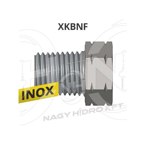 1/4"-1/8" NPT COLOS KB-S MENETTEL, FIX EGYENES INOX ADAPTER - XKBNF-1418