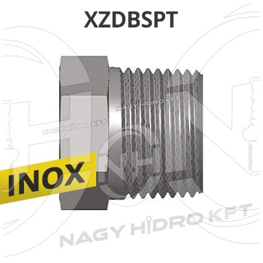 1/4" BSPT COLOS ZÁRÓDUGÓ, INOX ADAPTER