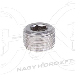 1/8" BSPT COLOS ZÁRÓDUGÓ IMBUSZKULCS NYÍLÁSSAL - ZDBSPTI-18