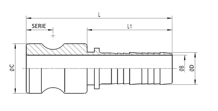 BT-P.jpg
